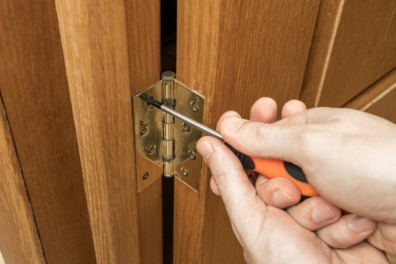 Revestimiento en polvo bisagra semioculta de cierre automático para la puerta del armario hardware de acero inoxidable